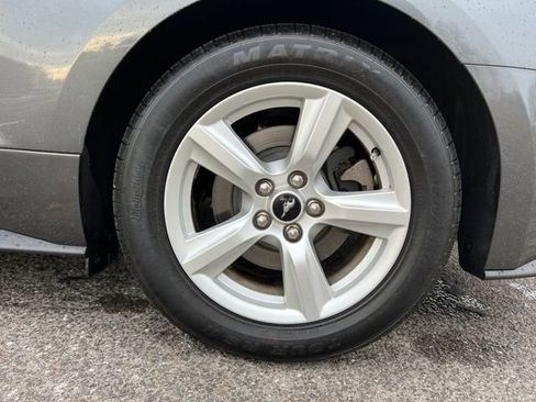 Used 2019 Ford Mustang Coupe image 15