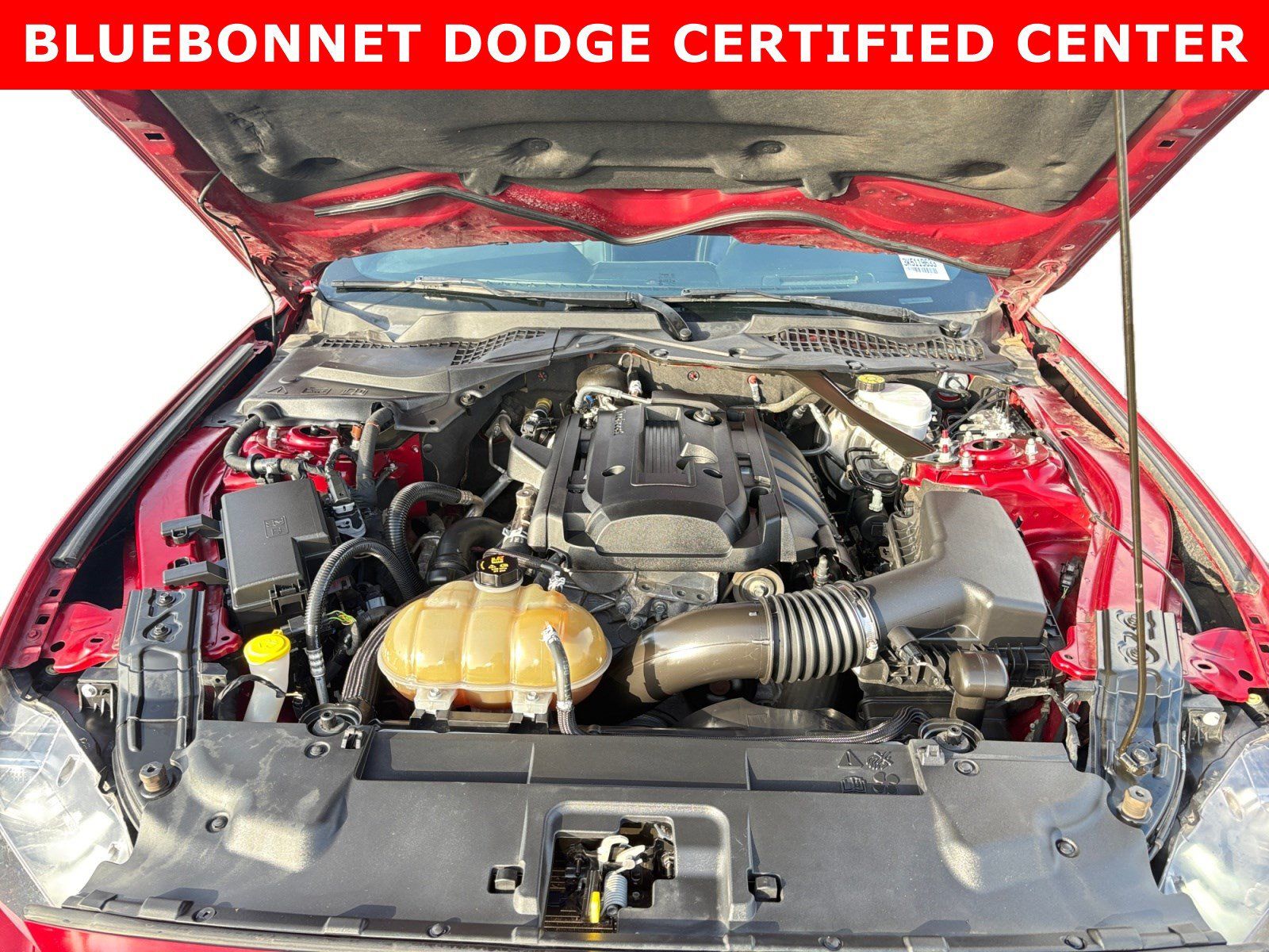 Used 2019 Ford Mustang Premium w/ Ford Safe & Smart Package RWD image 23