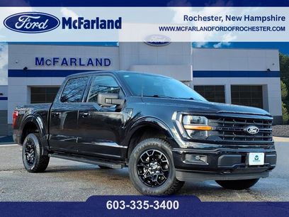 Used 2024 Ford F150 XLT w/ XLT Black Appearance Package
