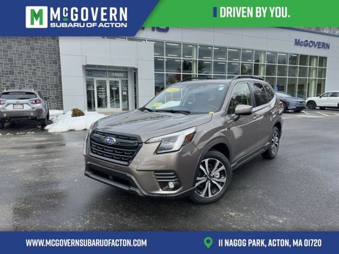 Used 2024 Subaru Forester Limited image 1