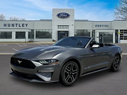Used 2023 Ford Mustang Premium