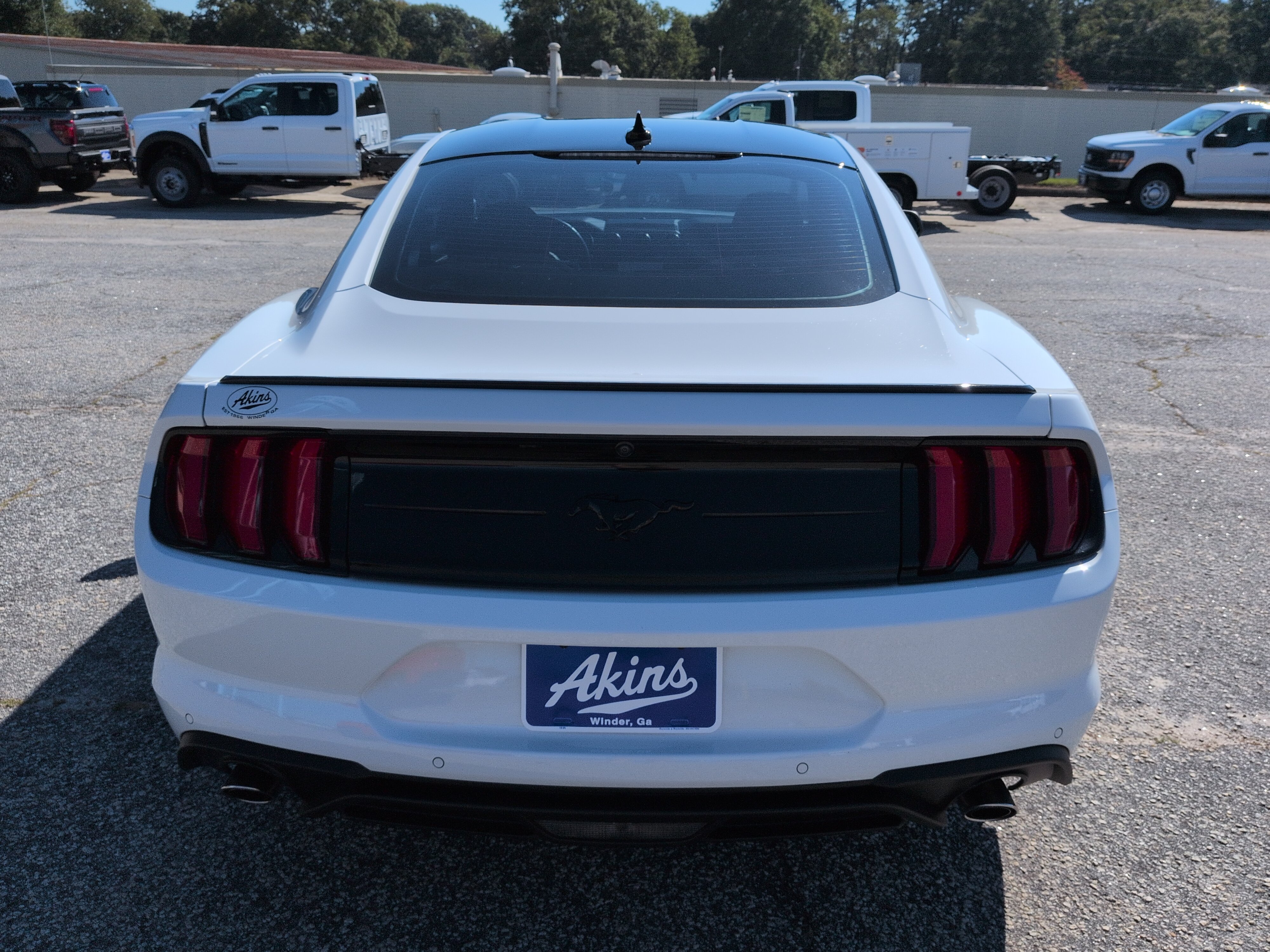 Used 2022 Ford Mustang Coupe w/ Equipment Group 101A RWD image 4
