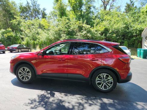 Used 2020 Ford Escape SEL AWD/4WD image 5
