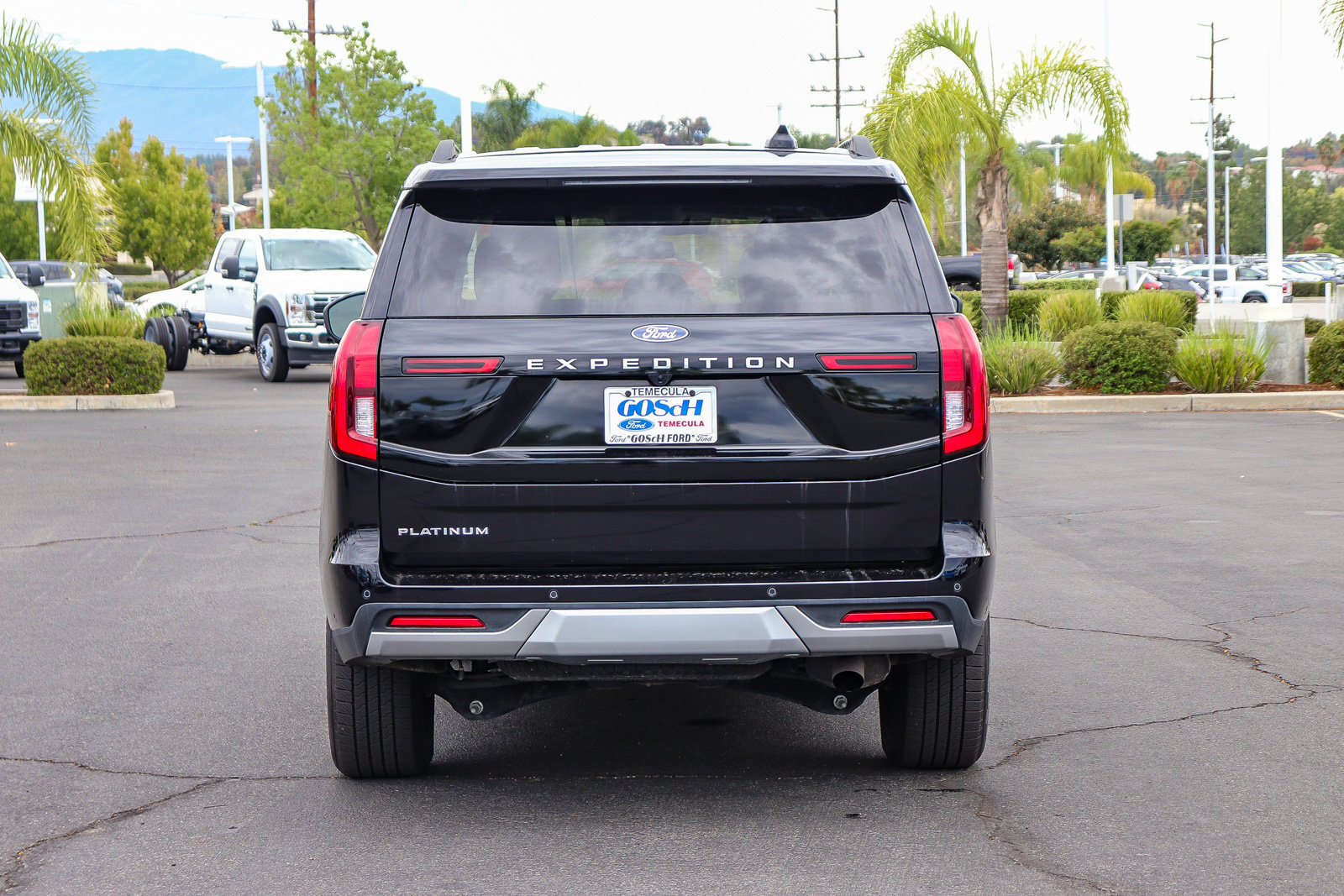 Certified 2025 Ford Expedition Platinum AWD/4WD image 5