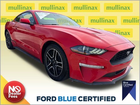 Used 2019 Ford Mustang Coupe w/ Equipment Group 101A RWD image 1