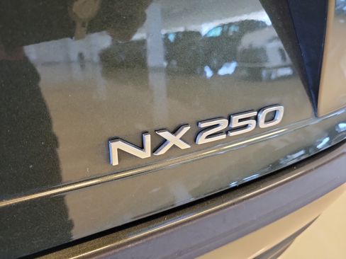 Used 2024 Lexus NX 250 FWD w/ Cold Area Package image 9