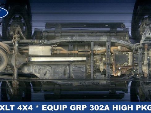 Used 2019 Ford F150 XLT w/ Equipment Group 302A Luxury AWD/4WD image 15