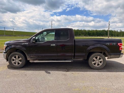 Used 2019 Ford F150 XLT w/ Equipment Group 302A Luxury AWD/4WD image 13