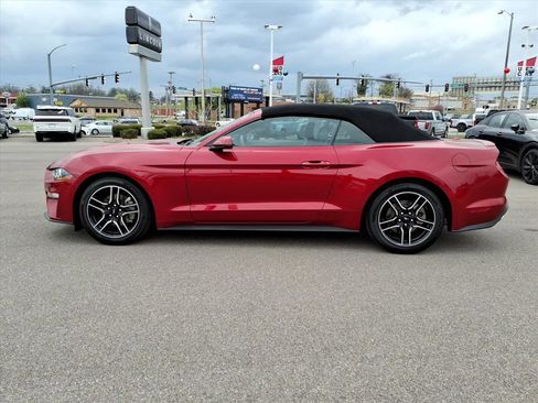 Certified 2023 Ford Mustang Premium w/ Equipment Group 201A RWD image 2