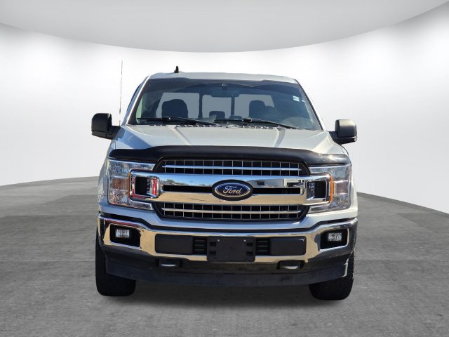 Used 2019 Ford F150 XLT w/ Equipment Group 302A Luxury AWD/4WD image 7