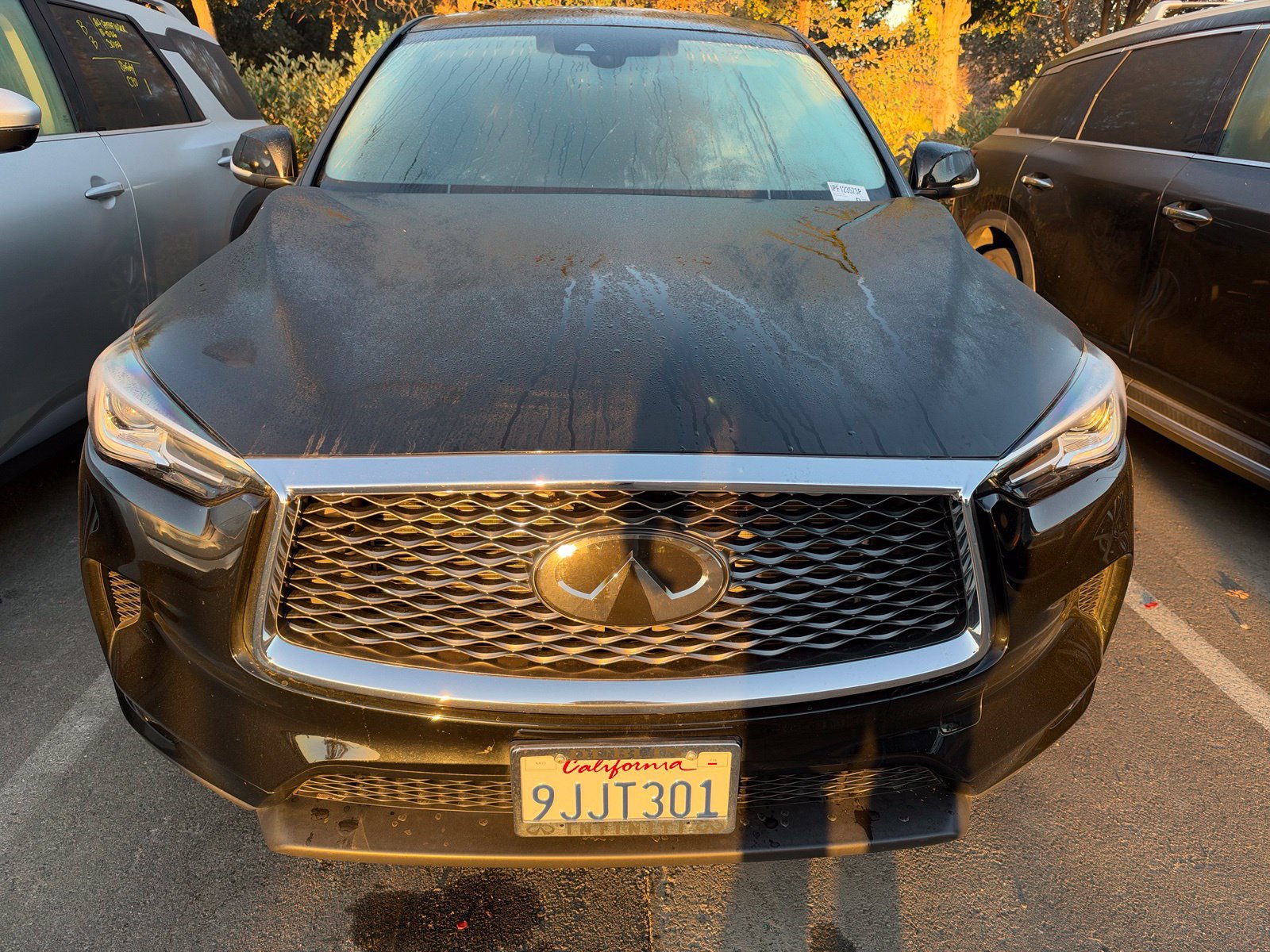 Used 2023 INFINITI QX50 Pure AWD/4WD image 3