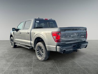 New 2026 Ford F150 XLT w/ Equipment Group 302A MID