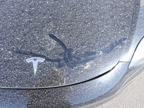 Used 2019 Tesla Model 3 Standard Range RWD image 24