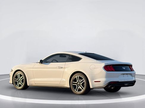 Used 2019 Ford Mustang Premium w/ Equipment Group 201A RWD image 3