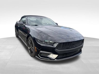 Used 2024 Ford Mustang Premium