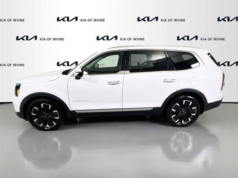 Certified 2024 Kia Telluride SX Prestige image 5
