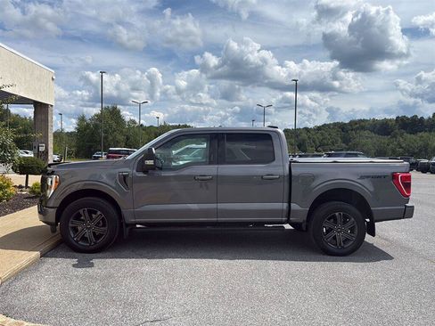 Used 2023 Ford F150 XLT w/ Equipment Group 302A High AWD/4WD image 2