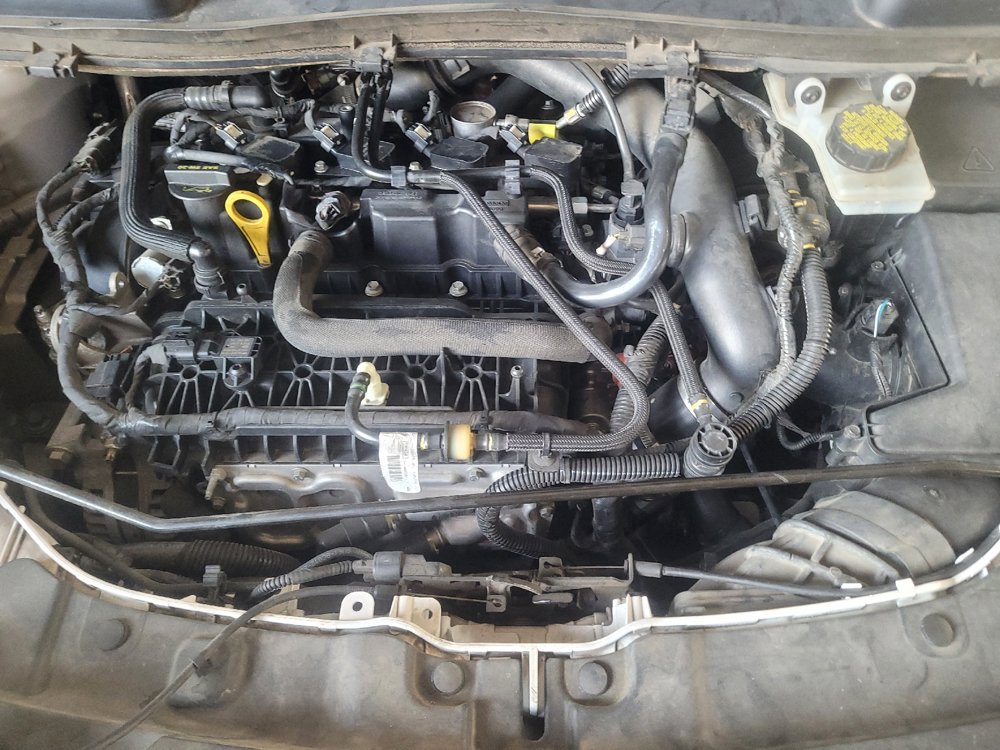 Used 2019 Ford Escape SEL FWD image 30