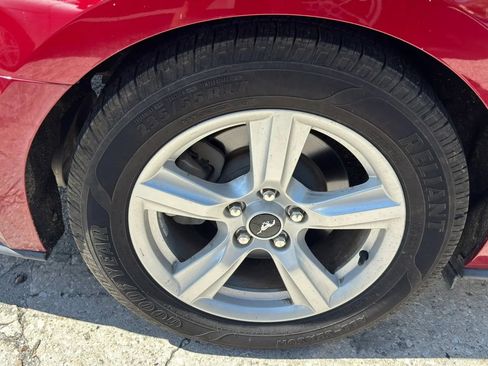 Used 2019 Ford Mustang Coupe RWD image 21