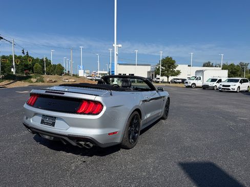 Used 2019 Ford Mustang GT Premium w/ Equipment Group 401A RWD image 7
