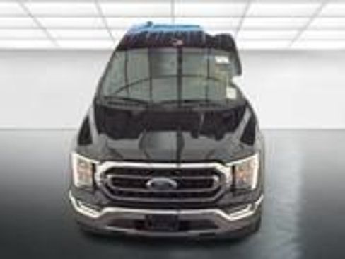 Used 2023 Ford F150 XLT w/ Equipment Group 302A High AWD/4WD image 12