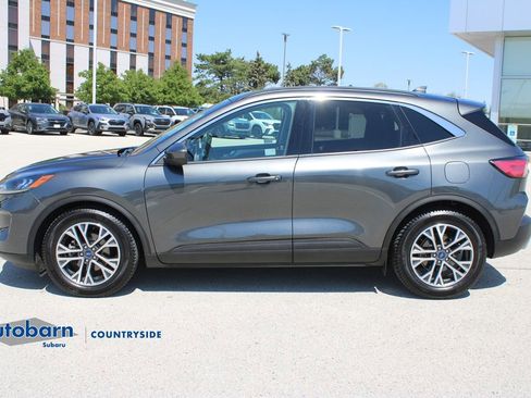 Used 2020 Ford Escape SEL FWD image 8