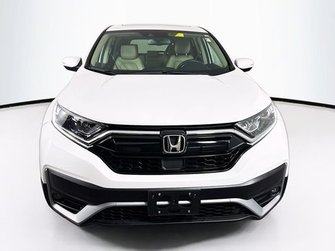 Used 2020 Honda CR-V EX-L image 2