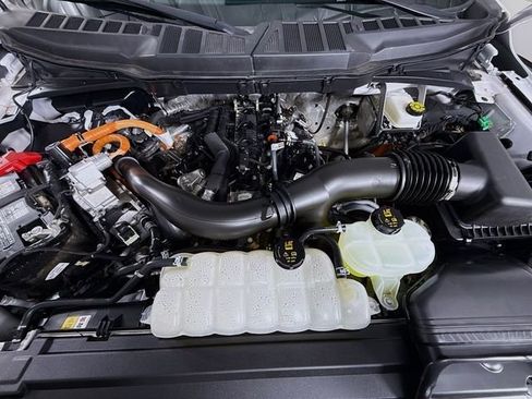 Used 2025 Ford F150 XLT w/ Equipment Group 301A Standard AWD/4WD image 32