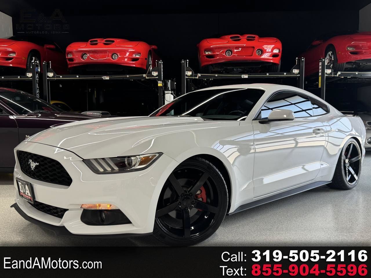 Used 2016 Ford Mustang Coupe RWD image 1