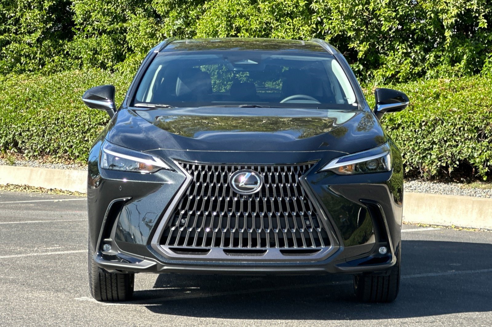 New 2026 Lexus NX 450h+ AWD w/ Accessory Package (2T) image 6