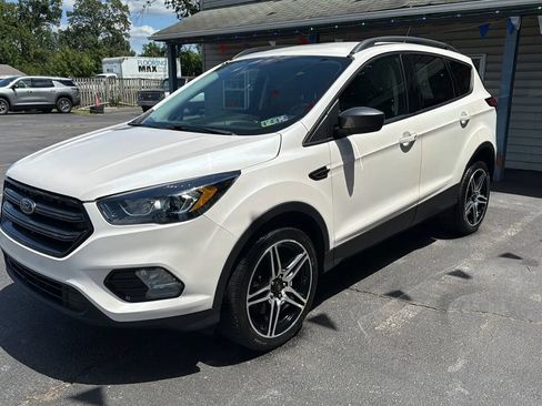Used 2019 Ford Escape SEL AWD/4WD image 4