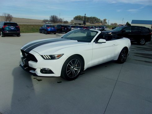 Used 2017 Ford Mustang Premium image 8