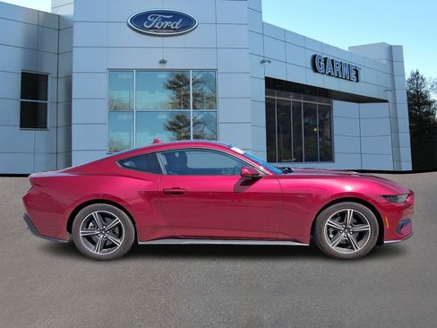Used 2025 Ford Mustang Coupe RWD image 10