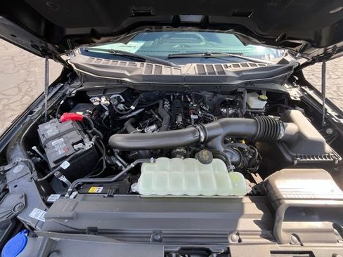 New 2024 Ford F150 XLT w/ Equipment Group 303A High image 95