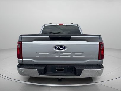 Used 2025 Ford F150 XLT w/ Equipment Group 301A Standard