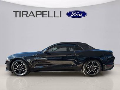 Certified 2019 Ford Mustang Premium