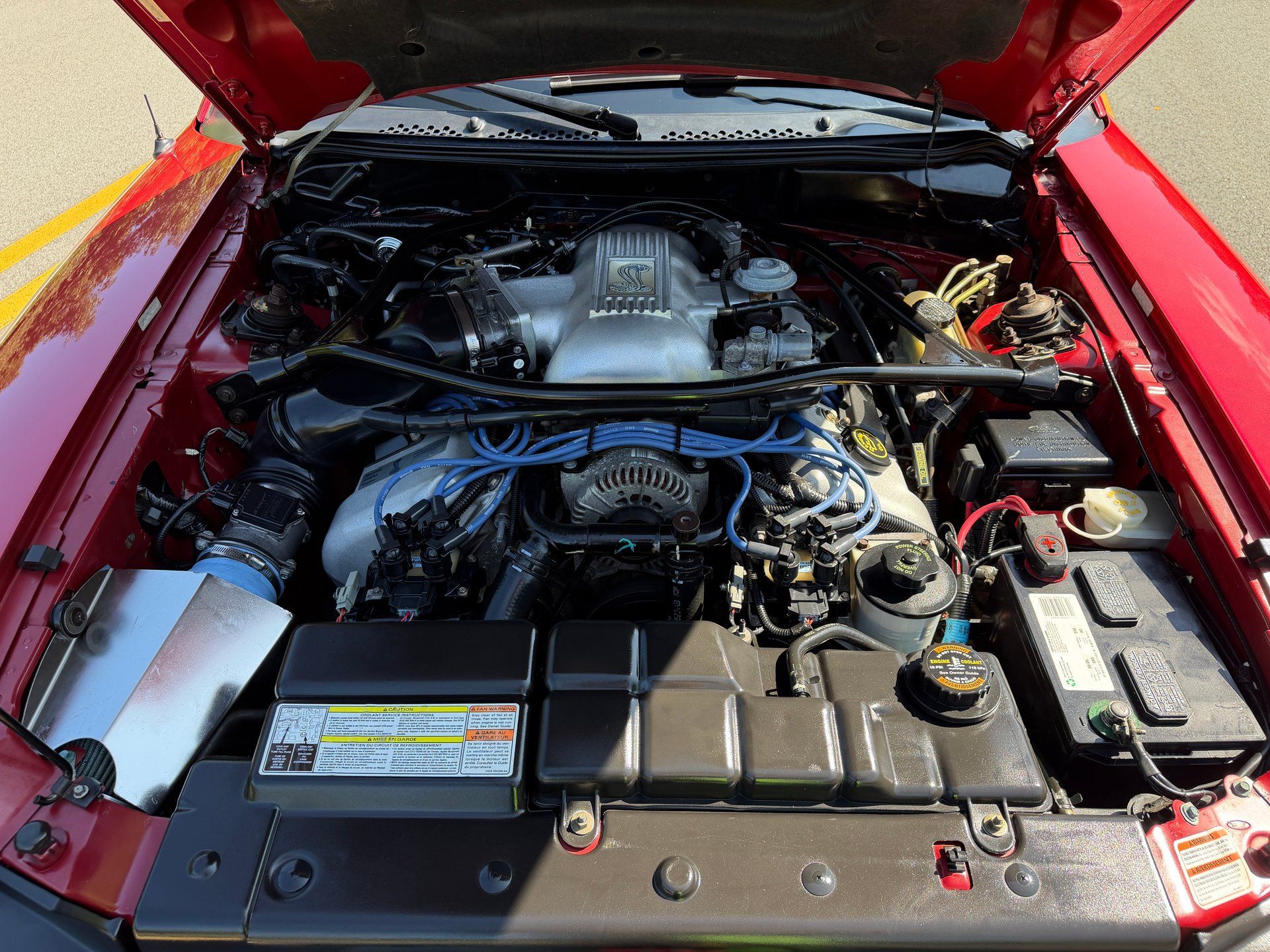 Used 1996 Ford Mustang Cobra RWD image 30