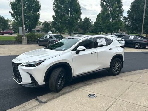 Used 2024 Lexus NX 350h AWD image 3