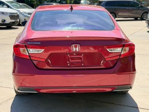 Used 2020 Honda Accord EX-L image 5