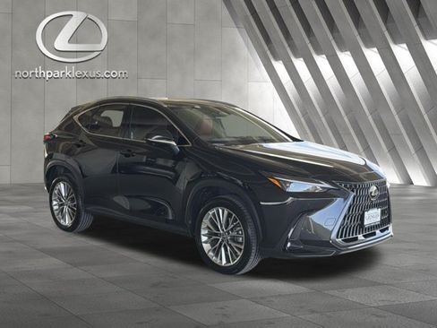 Certified 2025 Lexus NX 350 AWD w/ Cold Area Package image 5