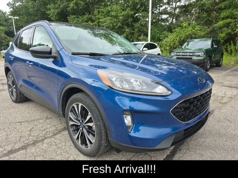 Used 2022 Ford Escape SEL w/ SEL Stealth AWD Package image 5