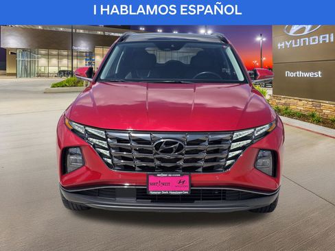 Used 2022 Hyundai Tucson Limited image 5