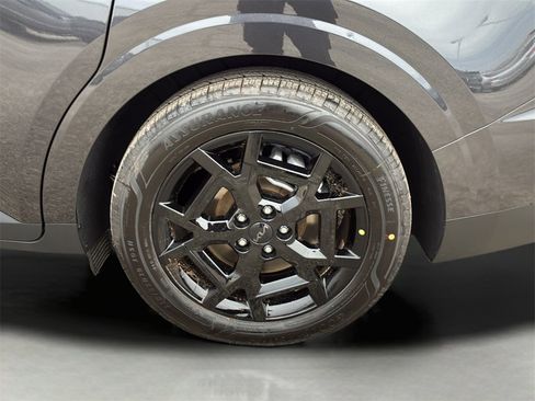 New 2026 Kia Carnival SX Prestige image 31