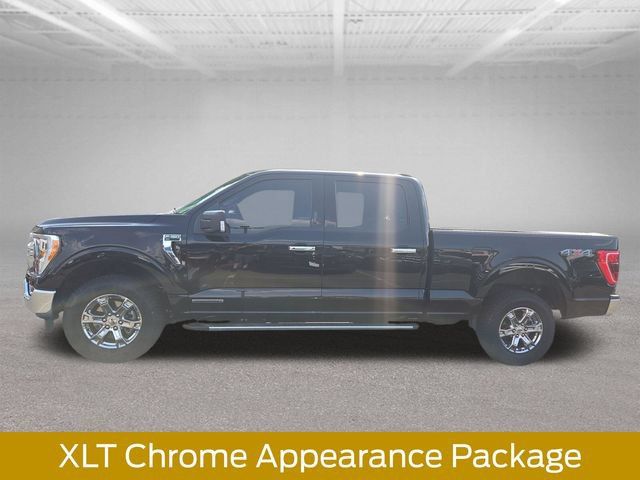 Used 2023 Ford F150 XLT w/ Equipment Group 302A High AWD/4WD image 2