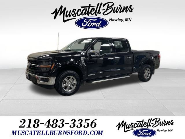 Used 2024 Ford F150 XLT w/ Equipment Group 302A MID AWD/4WD image 1