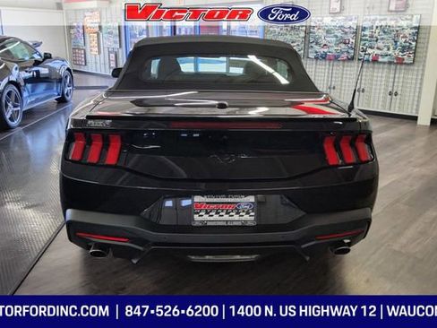 Used 2025 Ford Mustang Premium image 4