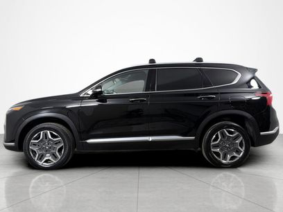 Used 2023 Hyundai Santa Fe SEL Convenience