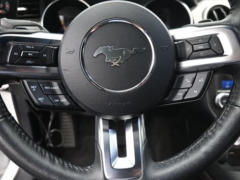 Used 2019 Ford Mustang Coupe w/ Equipment Group 101A RWD image 15