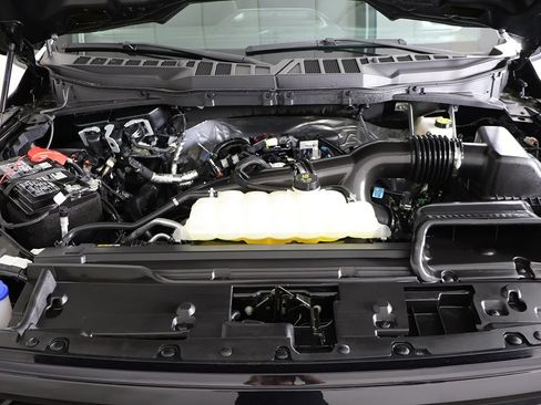 Used 2025 Ford F150 XLT w/ Equipment Group 301A Standard AWD/4WD image 20