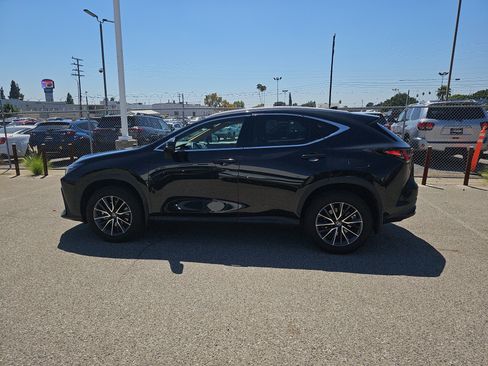 Used 2025 Lexus NX 250 FWD w/ Cold Area Package image 6
